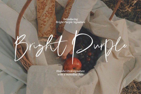 Bright Purple: A Font Designed for Modern Editorial Mood