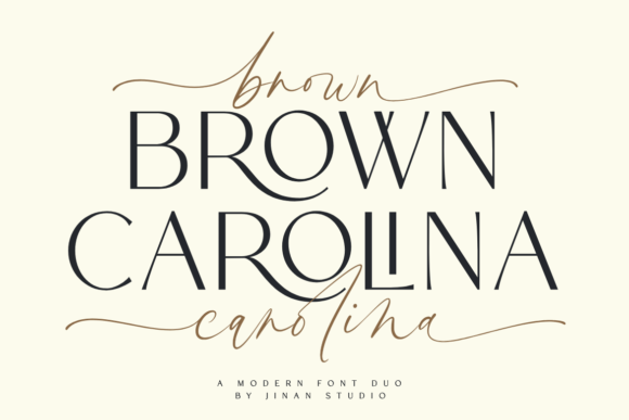 Choosing Brown Carolina Duo: My Business Finally Found Its Visual Voice